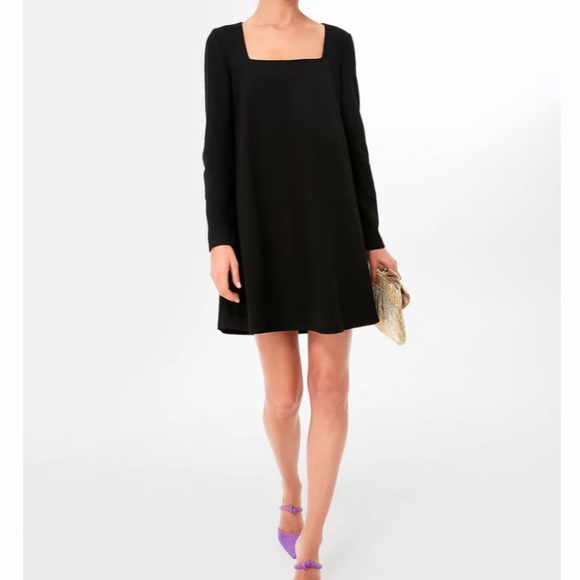 Tuckernuck Dresses & Skirts - Tuckernuck Black Mini Dress